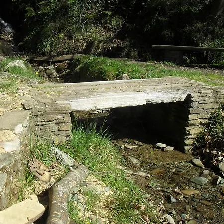 La Tineo